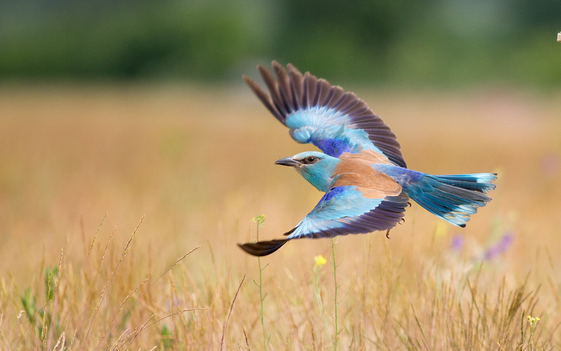 沙漠翻盘与雪地接管，足球的逆转哲学