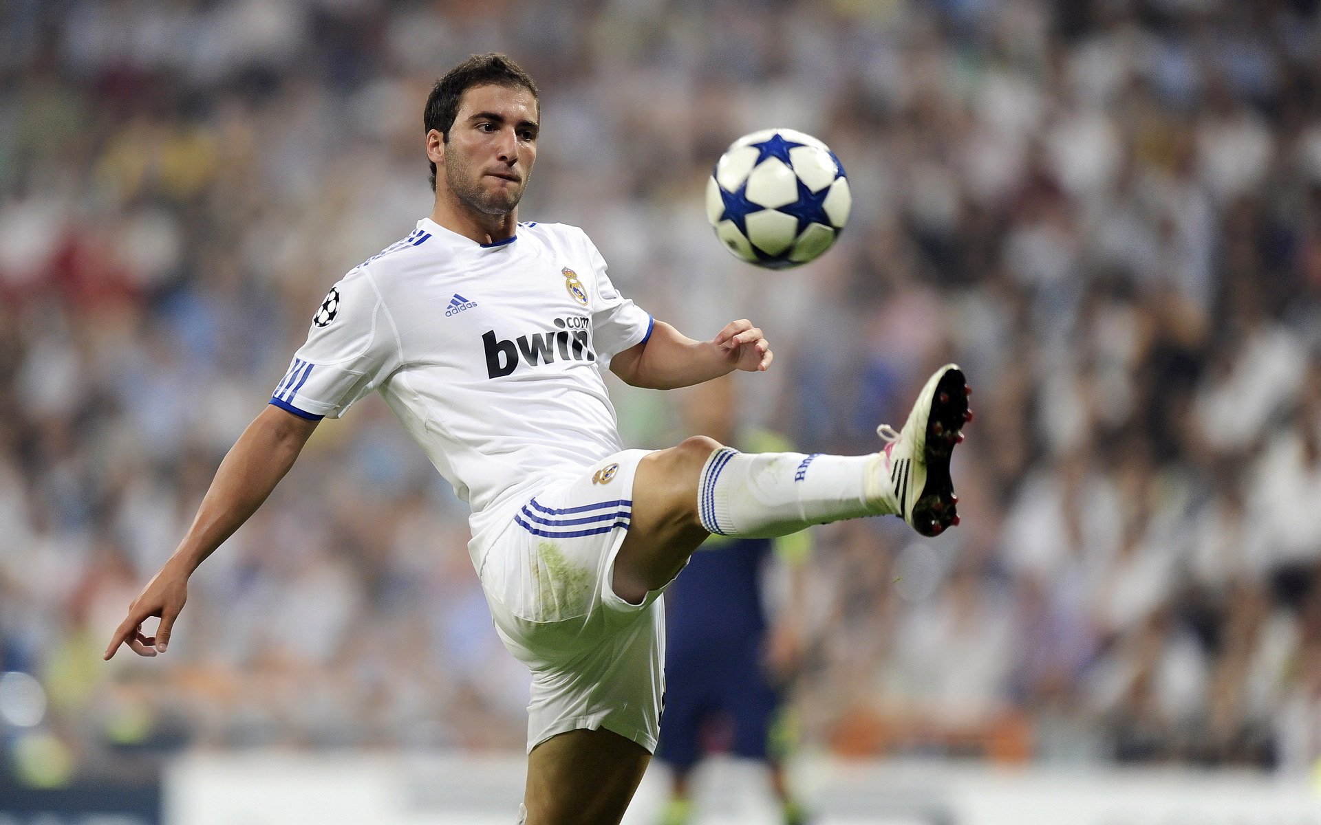 锋线撕裂魔术屏障,黄蜂蛰醒国家德比之夜