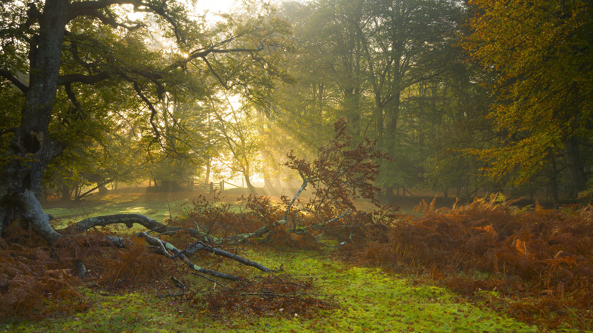 断层与崛起，门线、战线与国界的三重证明