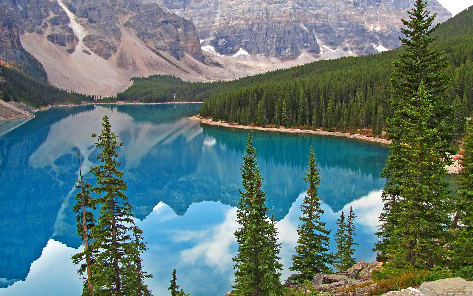 开云平台-绝境逆转！天降神兵福克斯一己之力掀翻灰熊