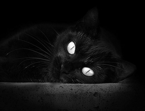 终圈狂飙，当篮球场化作F1街道赛，看伦纳德如何末节接管比赛