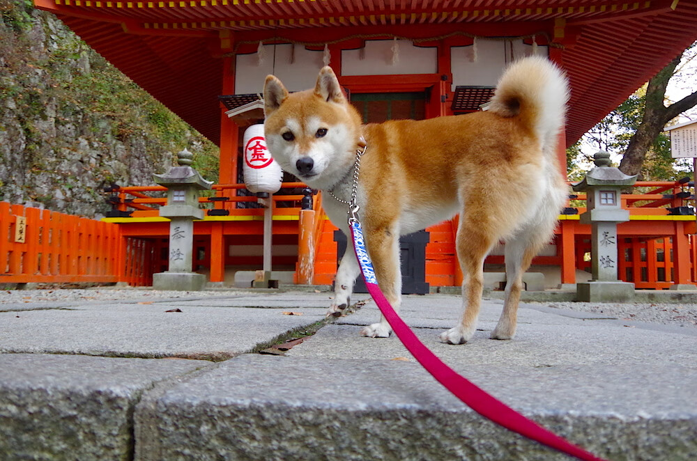 维尼修斯,在英超的顶点为自己加冕