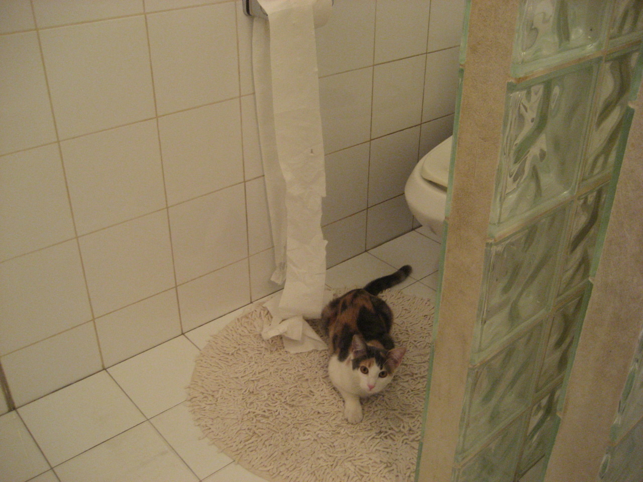 当篮筐如大海，浓眉擎天之夜，西决绝境见证巨星的孤独与光荣