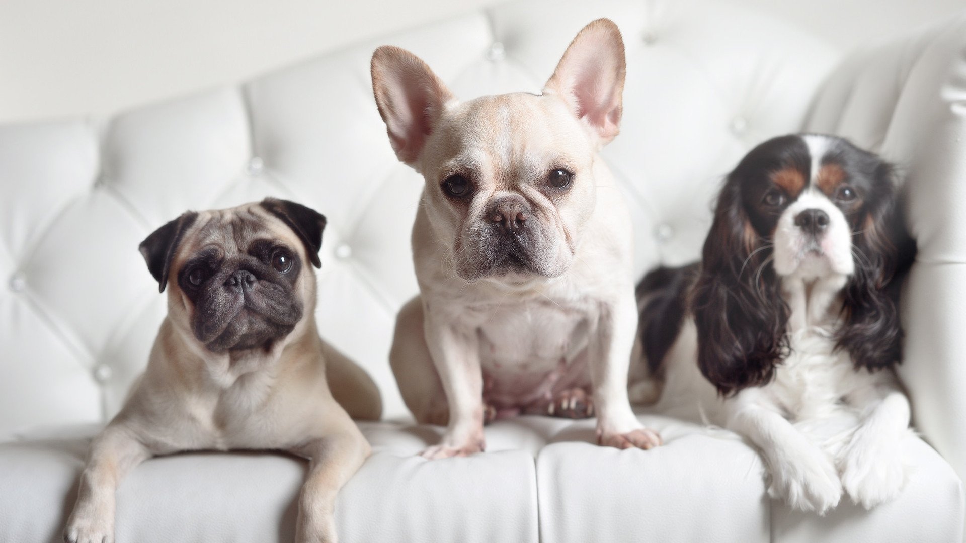 存在感拉满的萨内，巴萨在淘汰赛中力克安哥拉黑马