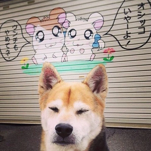 从CBA逆袭到奥运闪耀，当山西精神注入马克西的关键时刻