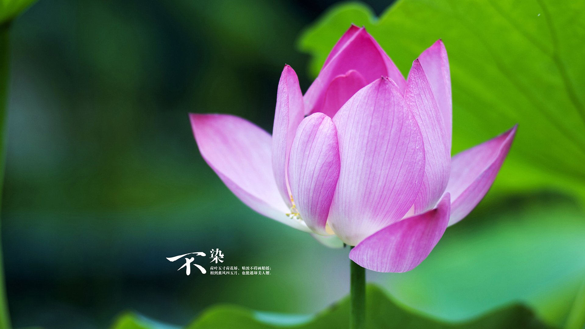 末节之王，当斯通斯在欧冠半决赛之夜完成角色终极蜕变